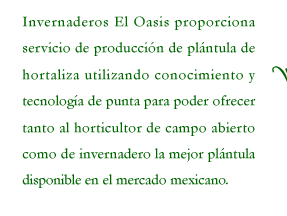 Invernaderos El Oasis proporciona servicio de producción de plántula de hortaliza utilizando conocimiento y tecnología de punta para poder ofrecer al horticultor nacional la mejor plántula disponible en el mercado mexicano.