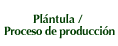 Plántula / Proceso de producción